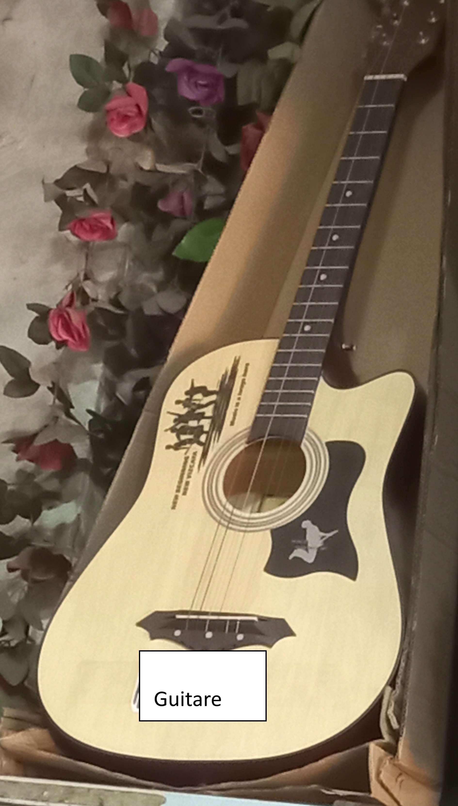 Guitare d'Apprentissage : Votre Première Guitare avec Style